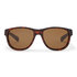 Gill Coastal Floating Sunglasses - Tortoise Shell