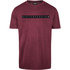 Mystic Flint T-Shirt - Oxblood Red