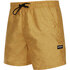 Mystic Mens Brand Swim Boardshorts - Mustard 210185