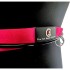 FBC Wing Foil Wing Waist Belt Pro+ - Rad 2026